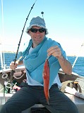 Western Australia - 2006